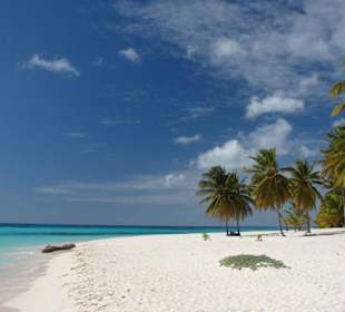 Traumstrand auf Insel Saona