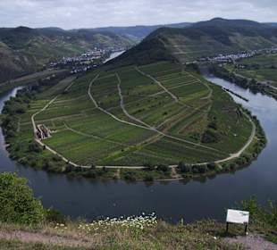 Moselschleife bei Ediger und Bremm