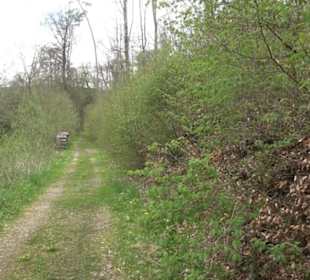 Premiumwanderweg Hochgebürzelt