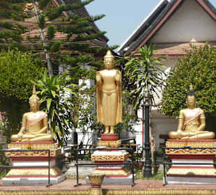 Buddhas