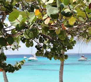 Catalina Bar Ausblick