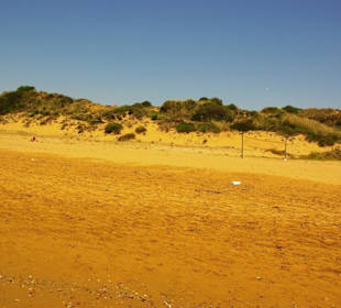 Strandbereich Gündogdu noch der Beste