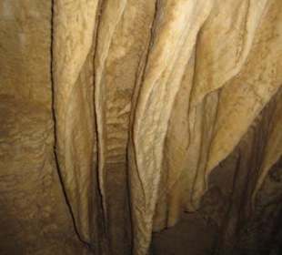 Ruakuri Cave