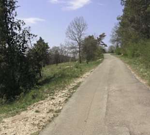 Waldlehrpfad an der Lauter