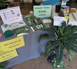 Grünkohl-Lotterie bei "Hallo Grünkohl"
