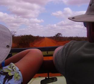 Auf der Pirsch nach interessanten Tieren