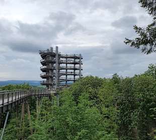 Weg zur Aussichtsplattform