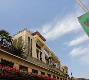 Wild Wadi Water Park