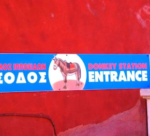 11.Tag Santorin Eselstation