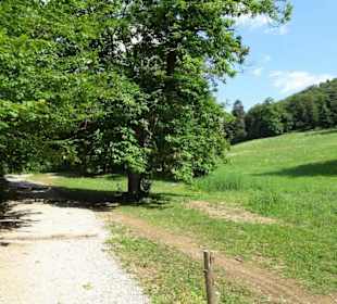 Der Rundweg um den Tennosee