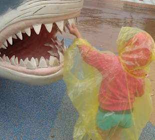 Der Zahn ist ja locker