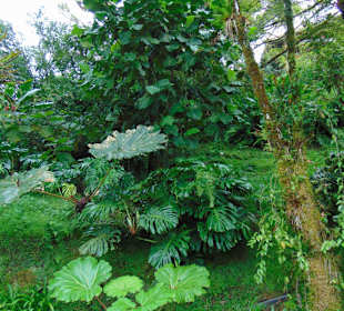 La Paz Waterfall Gardens