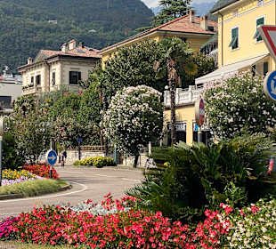 Altstadt Riva del Garda