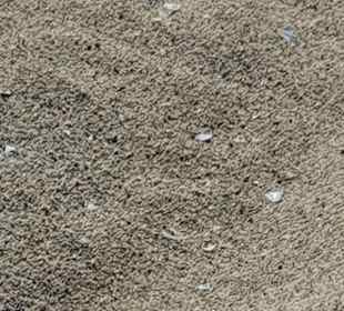 Der feine Sandstrand