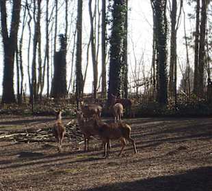 Tierpark Wolgast