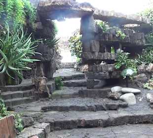 Jameos del Agua