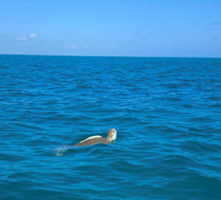 Sian Ka'an Nationalpark