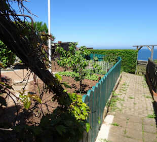 Rundgang durch die Schrebergarten-Kolonie