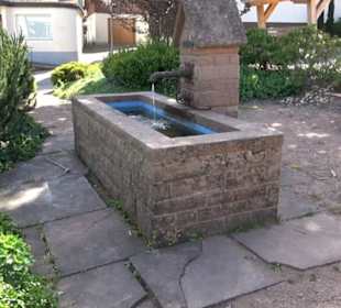 Alice Blessing Brunnen Klosterreichenbach