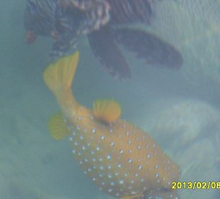 SUNRISE Grand Select Crystal Bay Resort