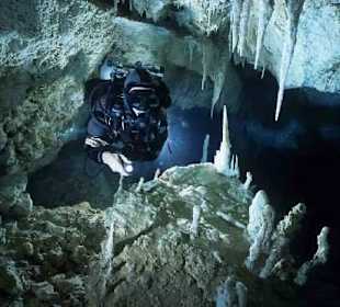 Bild vom Card Partner