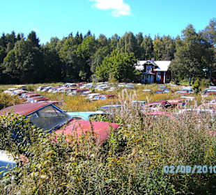 Autofriedhof am Foxen