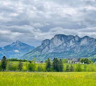 Wandern Mondsee