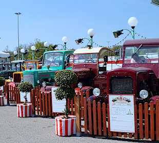 Ausstellung ,,Alte Traktoren''