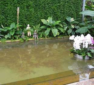 Raffeiner Orchideenwelt