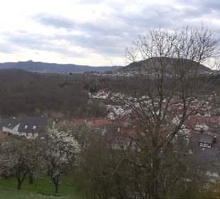 Der Grafenberg