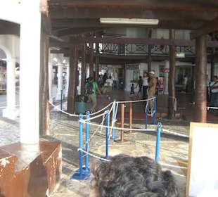 Blick ins Innengebäude des Hafens