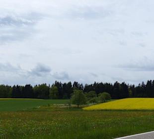 Naturpark Schwarzwald