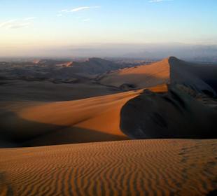 Vistas desde el oasis