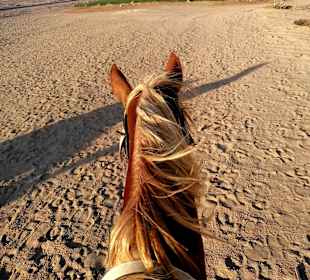 Auf dem Weg zum Strand Makadi Bay