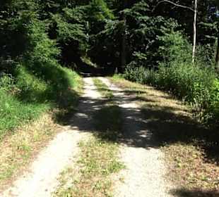 Ameisenlehrpfad Holzelfingen