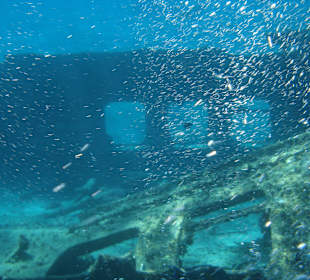 Wrack als Hausriff zum Schnorcheln