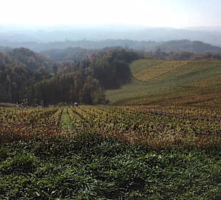 Wandern Leutschach an der Weinstraße