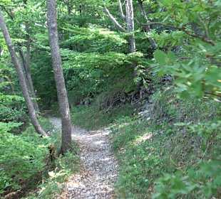 Tour entlang der Traifelbergfelsen