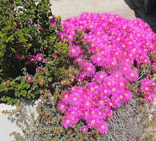 Stadtrundgang Sperlonga