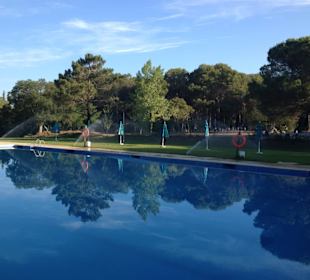 Swimming Pool at the Club