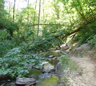 In der Ehrbachklamm