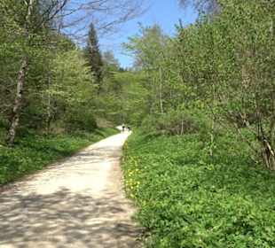 Premiumwanderweg Hochgehschätzt