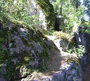 Park Monrepos