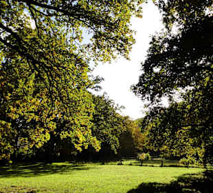 Herbstspaziergang durch den Bürgerpark Bremen