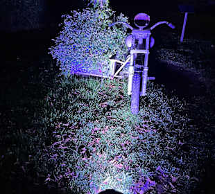 Herbstlichter Brückenkopfpark