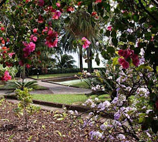 Madeira