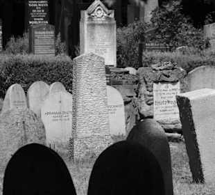 Blick auf die Gräberreihen