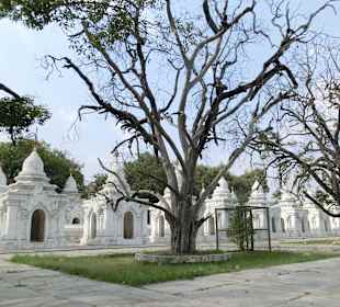 Blick auf das Gelände