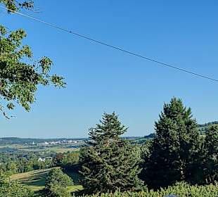 Blick in die Umgebung 