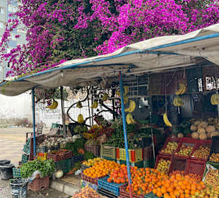 Stadtrundgang Monastir